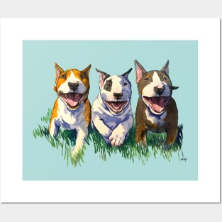 Three Amigos Bull Terrier Puppies Posters and Art